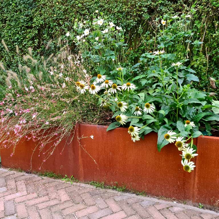 Hochbeet aus Cortenstahl Texas xxl 300 x 80 cm