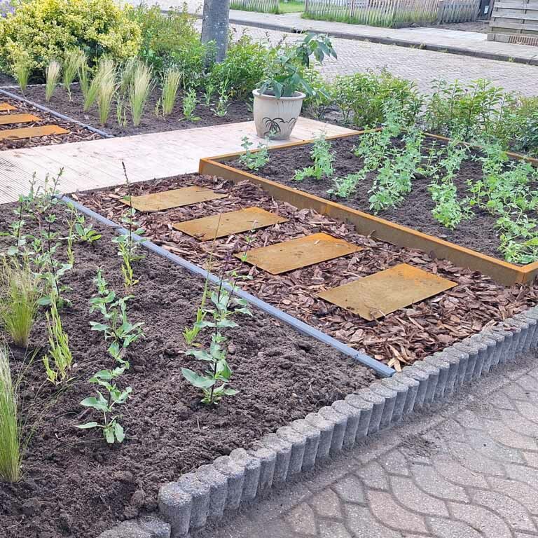 Trittplatte Cortenstahl Rechteck 60 x 25 cm