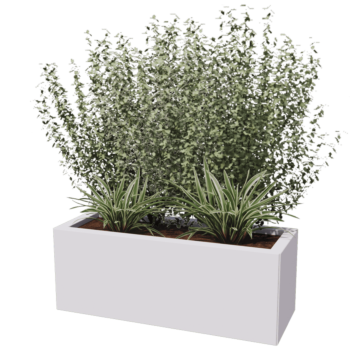 Pflanzkübel aus Stahl - Rechteckig - 80 x 30 x 60 cm - Andere RAL farbe - Mit Bodenplatte - Mit Rollen