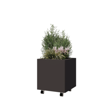 Pflanzkübel aus Stahl - Viereckig - 50 x 50 x 50 cm - RAL7016 matte (anthrazitgrau) - Mit Bodenplatte - Mit Rollen