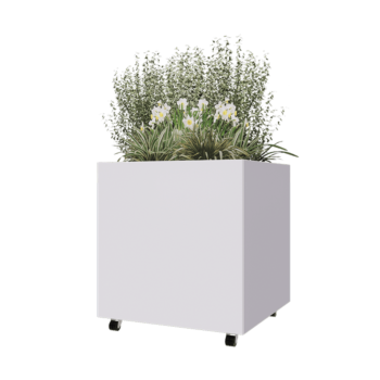 Pflanzkübel aus Stahl - Viereckig - 80 x 80 x 80 cm - RAL9010 matte (weiß) - Mit Bodenplatte - Mit Rollen