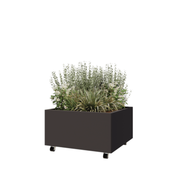 Pflanzkübel aus Stahl - Viereckig - 80 x 80 x 40 cm - RAL7016 matte (anthrazitgrau) - Mit Bodenplatte - Mit Rollen