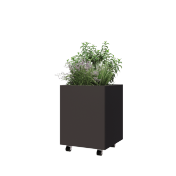 Pflanzkübel aus Stahl - Viereckig - 50 x 50 x 60 cm - RAL7016 matte (anthrazitgrau) - Mit Bodenplatte - Mit Rollen