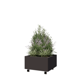 Pflanzkübel aus Stahl - Viereckig - 60 x 60 x 30 cm - Andere RAL farbe - Mit Bodenplatte - Mit Rollen