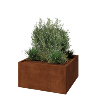 Cortenstahl Pflanzkübel - Viereckig - 100 x 100 x 50 cm - Ohne Bodenplatte