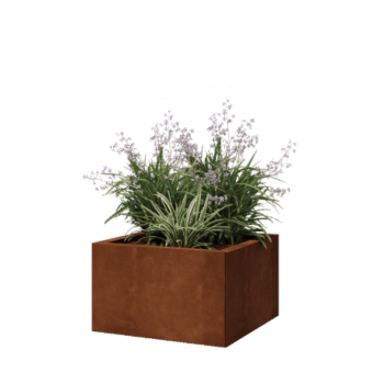 Cortenstahl Pflanzkübel - Viereckig - 50 x 50 x 30 cm - Ohne Bodenplatte