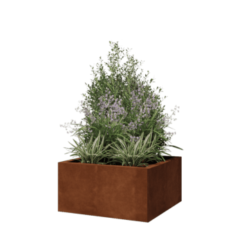 Cortenstahl Pflanzkübel - Viereckig - 60 x 60 x 30 cm - Ohne Bodenplatte