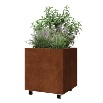 Cortenstahl Pflanzkübel - Viereckig - 60 x 60 x 60 cm - Mit Bodenplatte - Mit Rollen