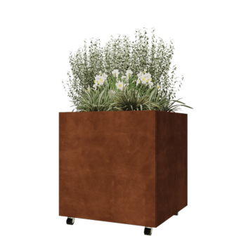Cortenstahl Pflanzkübel - Viereckig - 80 x 80 x 80 cm - Mit Bodenplatte - Mit Rollen