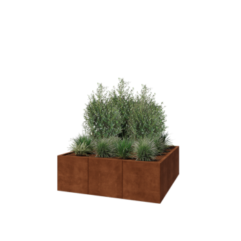 Cortenstahl Hochbeet XXL - Viereckig - 150 x 150 x 50 cm - Ohne Bodenplatte