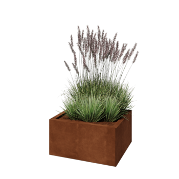 Cortenstahl Pflanzkübel - Rechteckig - 60 x 50 x 30 cm - Ohne Bodenplatte