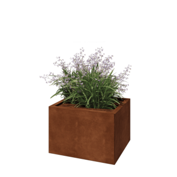 Cortenstahl Pflanzkübel - Rechteckig - 60 x 50 x 40 cm - Ohne Bodenplatte