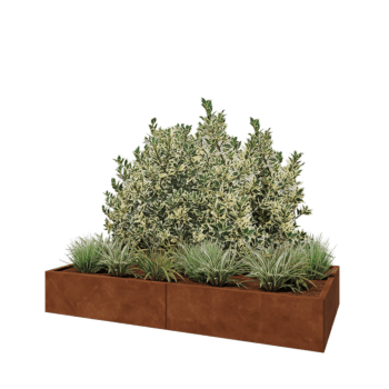 Cortenstahl Hochbeet XXL - Rechteckig - 200 x 100 x 30 cm - Mit Bodenplatte