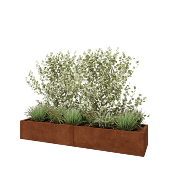 Cortenstahl Hochbeet XXL - Rechteckig - 200 x 50 x 30 cm - Ohne Bodenplatte