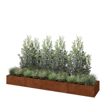 Cortenstahl Hochbeet XXL - Rechteckig - 320 x 60 x 30 cm - Mit Bodenplatte