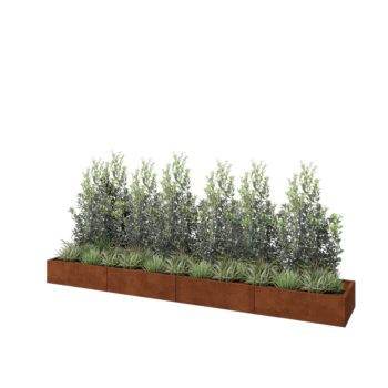 Cortenstahl Hochbeet XXL - Rechteckig - 400 x 60 x 30 cm - Mit Bodenplatte