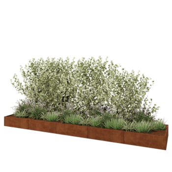 Cortenstahl Hochbeet XXL - Rechteckig - 500 x 100 x 30 cm - Ohne Bodenplatte