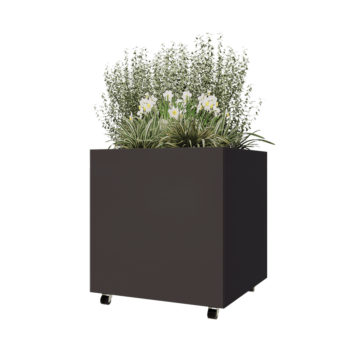 Pflanzkübel aus Stahl - Viereckig - 80 x 80 x 80 cm - Andere RAL farbe - Mit Bodenplatte - Mit Rollen