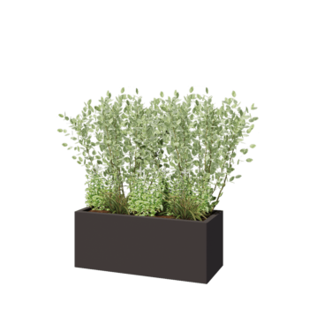 Pflanzkübel aus Stahl - Rechteckig - 100 x 40 x 40 cm - RAL7016 matte (anthrazitgrau) - Mit Bodenplatte