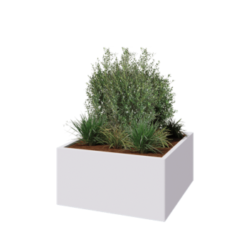 Pflanzkübel aus Stahl - Viereckig - 100 x 100 x 50 cm - RAL9010 matte (weiß) - Mit Bodenplatte