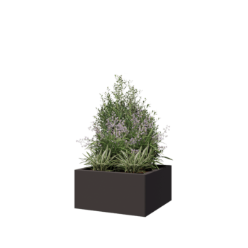 Pflanzkübel aus Stahl - Viereckig - 60 x 60 x 30 cm - RAL7016 matte (anthrazitgrau) - Mit Bodenplatte