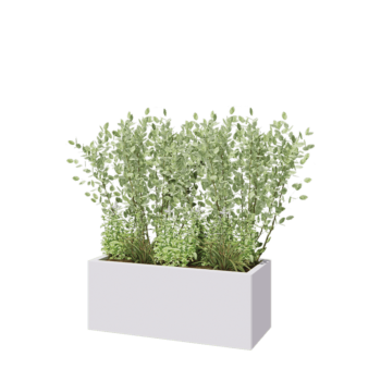 Pflanzkübel aus Stahl - Rechteckig - 100 x 40 x 40 cm - RAL9010 matte (weiß) - Mit Bodenplatte