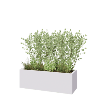 Pflanzkübel aus Stahl - Rechteckig - 120 x 40 x 40 cm - RAL9010 matte (weiß) - Ohne Bodenplatte