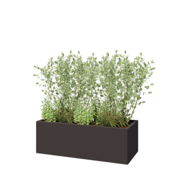 Pflanzkübel aus Stahl - Rechteckig - 120 x 50 x 40 cm - RAL7016 matte (anthrazitgrau) - Ohne Bodenplatte