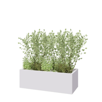 Pflanzkübel aus Stahl - Rechteckig - 120 x 50 x 40 cm - RAL9010 matte (weiß) - Mit Bodenplatte