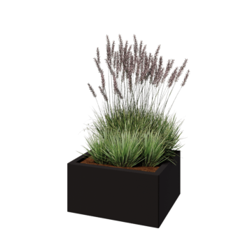 Pflanzkübel aus Stahl - Rechteckig - 60 x 50 x 30 cm - RAL9005 matte (schwarz) - Ohne Bodenplatte