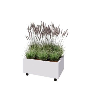 Pflanzkübel aus Stahl - Rechteckig - 80 x 50 x 30 cm - RAL9010 matte (weiß) - Mit Bodenplatte - Mit Rollen