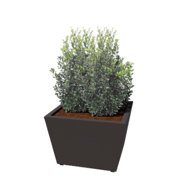 Pflanzkübel aus Stahl - Konisch - 80 x 80 x 51,5 cm - Geschweißt - RAL7016 matte (anthrazitgrau) - Mit Bodenplatte