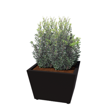 Pflanzkübel aus Stahl - Konisch - 80 x 80 x 51,5 cm - Geschweißt - RAL9005 matte (schwarz) - Mit Bodenplatte