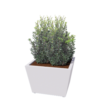 Pflanzkübel aus Stahl - Konisch - 80 x 80 x 51,5 cm - Geschweißt - RAL9010 matte (weiß) - Mit Bodenplatte