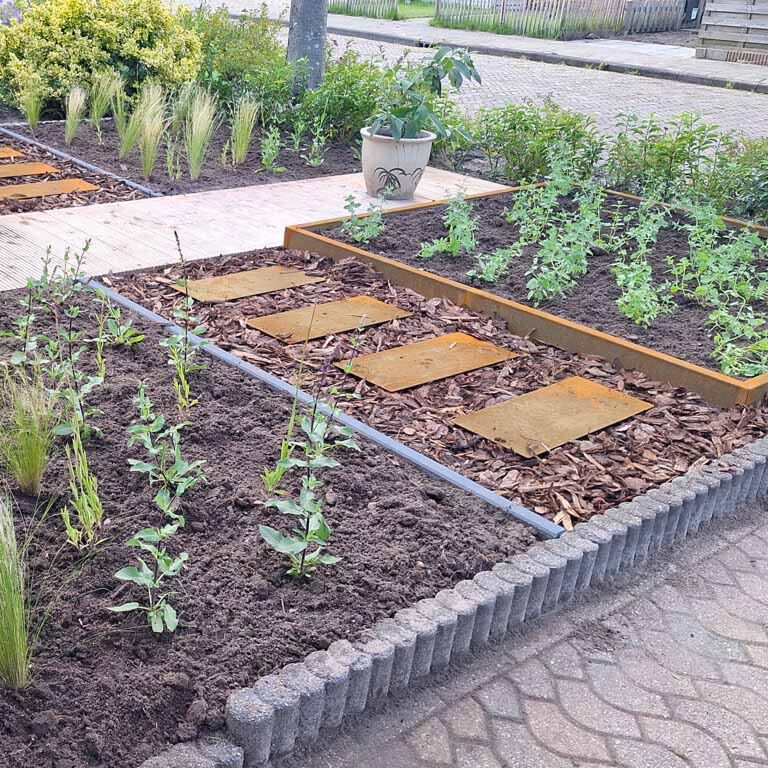 Trittplatte Cortenstahl Rechteck 60 x 25 cm