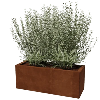 Cortenstahl Pflanzkübel - Rechteckig - 30 x 80 cm