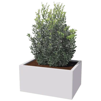 Pflanzkübel aus Stahl - Rechteckig - 60 x 80 cm