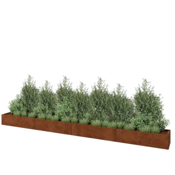 Cortenstahl Hochbeet XXL - Rechteckig - 480 x 40 x 30 cm - Ohne Bodenplatte