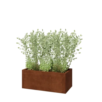 Cortenstahl Pflanzkübel - Rechteckig - 100 x 50 x 40 cm - Mit Bodenplatte