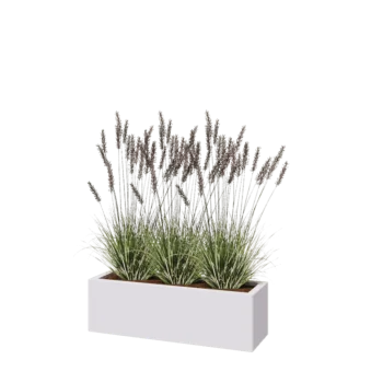 Pflanzkübel aus Stahl - Rechteckig - 100 x 30 x 30 cm - RAL9010 matte (weiß) - Mit Bodenplatte