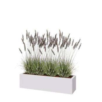 Pflanzkübel aus Stahl - Rechteckig - 120 x 30 x 30 cm - RAL9010 matte (weiß) - Mit Bodenplatte