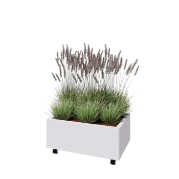 Pflanzkübel aus Stahl - Rechteckig - 80 x 50 x 30 cm - RAL9010 matte (weiß) - Mit Bodenplatte - Mit Rollen