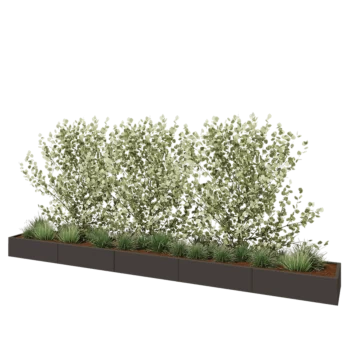 Hochbeet XXL aus Stahl - Rechteckig - 500 x 60 x 30 cm - RAL7016 matte (anthrazitgrau) - Ohne Bodenplatte