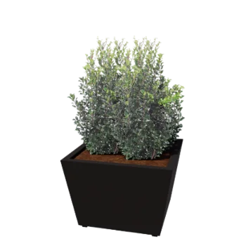 Pflanzkübel aus Stahl - Konisch - 80 x 80 x 51,5 cm - Geschweißt - RAL9005 matte (schwarz) - Mit Bodenplatte