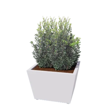 Pflanzkübel aus Stahl - Konisch - 80 x 80 x 51,5 cm - Geschweißt - RAL9010 matte (weiß) - Mit Bodenplatte