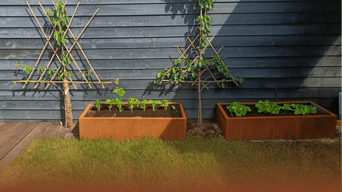 Warum Cortenstahl perfekt für einen Gemüsegarten ist