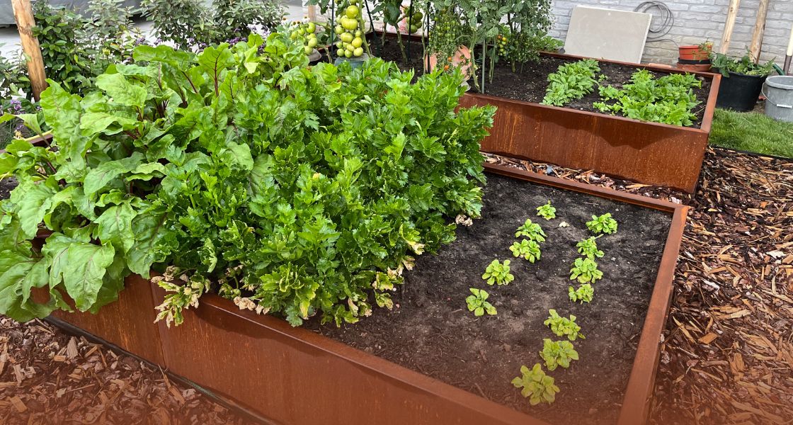 Inspiration und Ideen für einen Gemüsegarten